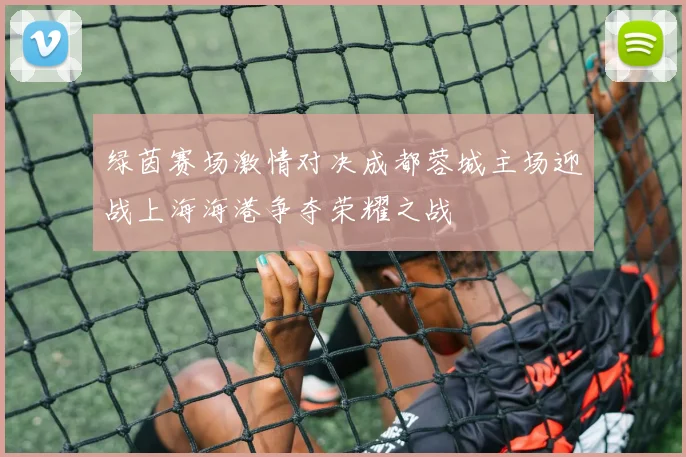 绿茵赛场激情对决成都蓉城主场迎战上海海港争夺荣耀之战